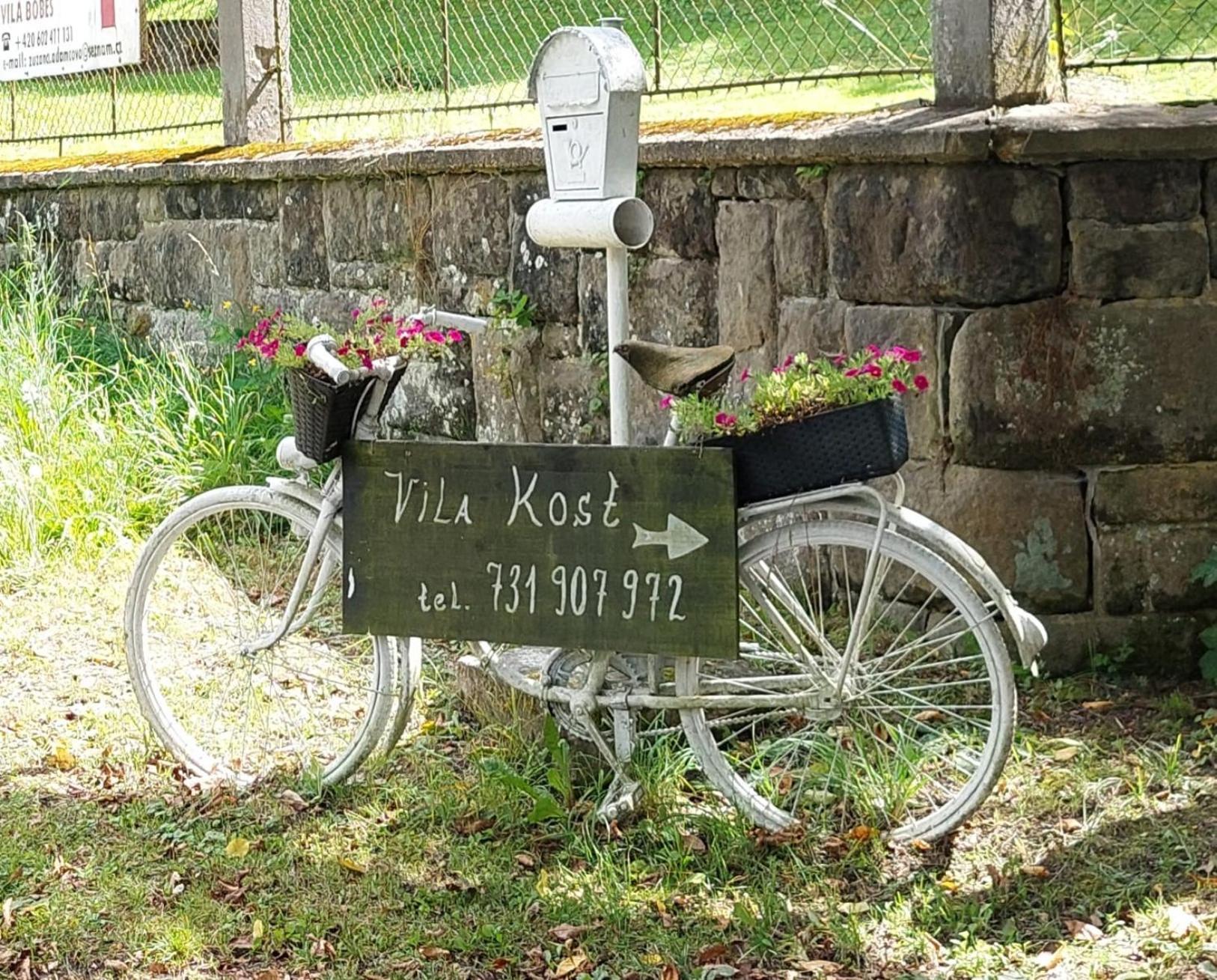 Vila Kost Sobotka Luaran gambar